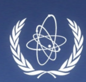 Workshop on Structural Materials for Innovative Nuclear Systems